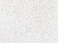 Maestro Panel paneel 10x300x2770mm micro bevel Stone 00187 Terrazzo Crisp