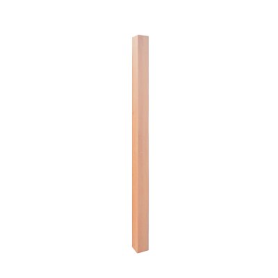 PM2 INGEFREESDE PALEN BEUK / 2 STUKS