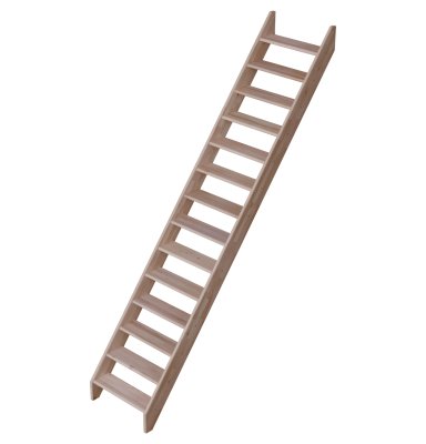 COTTAGE MEDIUM TRAP IN BEUK