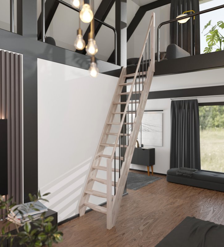 KYOTO TRAP IN BEUK MET LEUNING / RAL 9005