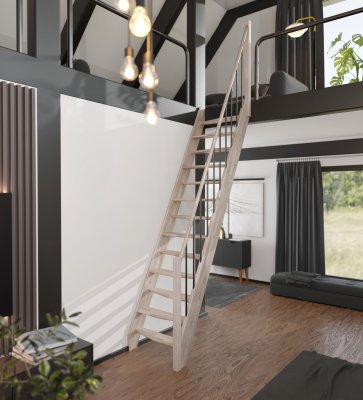 KYOTO TRAP IN BEUK MET LEUNING / RAL 9005