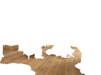 Holzb HD100 Eich auth geb 20017