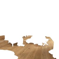 Holzb HD100 Eich auth geb 20017 Holzb HD100 Eich auth geb 20017