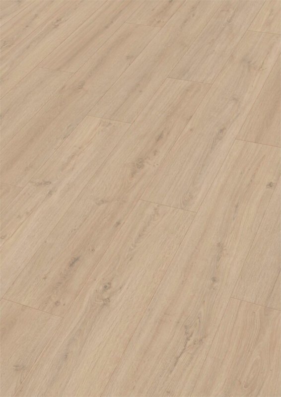 °M LD150 Felseneiche sand 7122