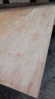 Multiplex Elliotis Pine WBP C+/C 22 mm