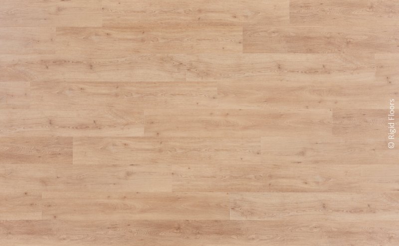 Lalegno Rigid Floor - 2.5/0.55 - 184 - DRYBACK - PALERMO