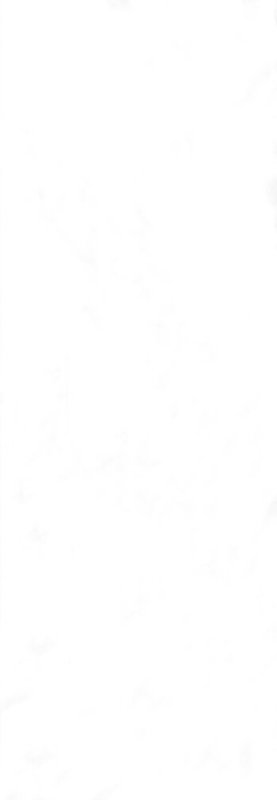 Lalegno Rigid Wall - SPC - 5/0.30 - 900 - MEGA PANELS - SNOW WHITE