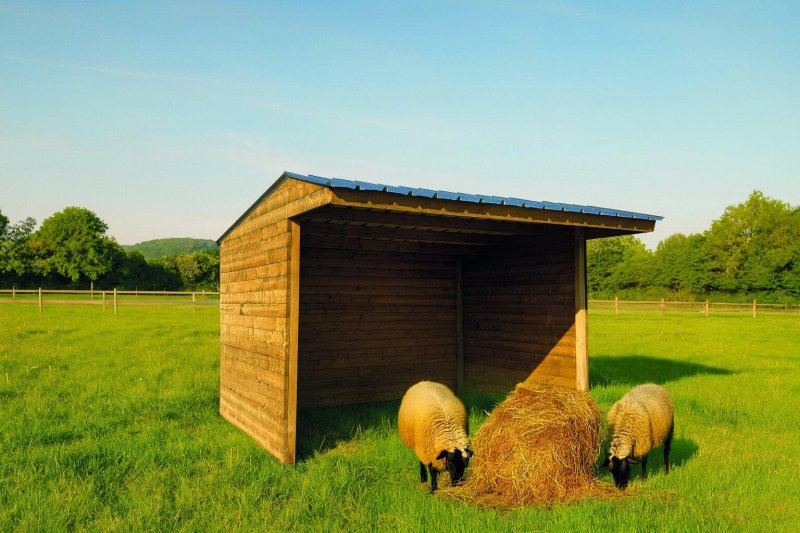 Shelter 3000 x 2920 mm