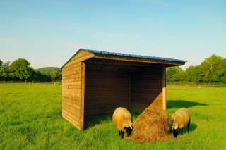 Shelter 3000 x 2920 mm