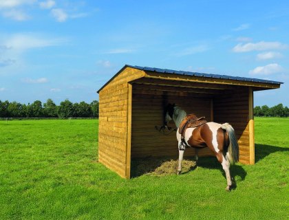 Shelter 5000 x 2920 mm