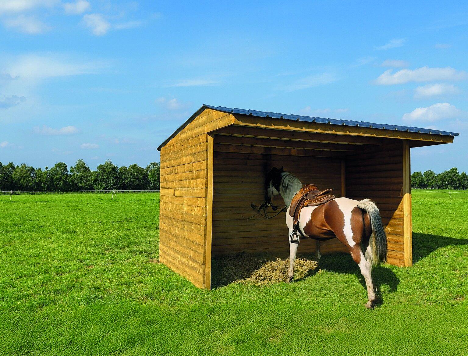 Shelter 5000 x 2920 mm