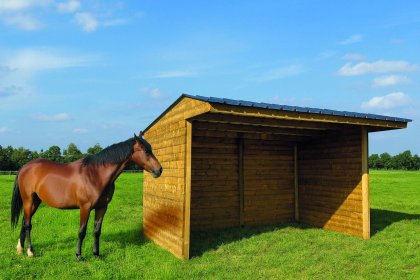 Shelter 6000 x 2920 mm