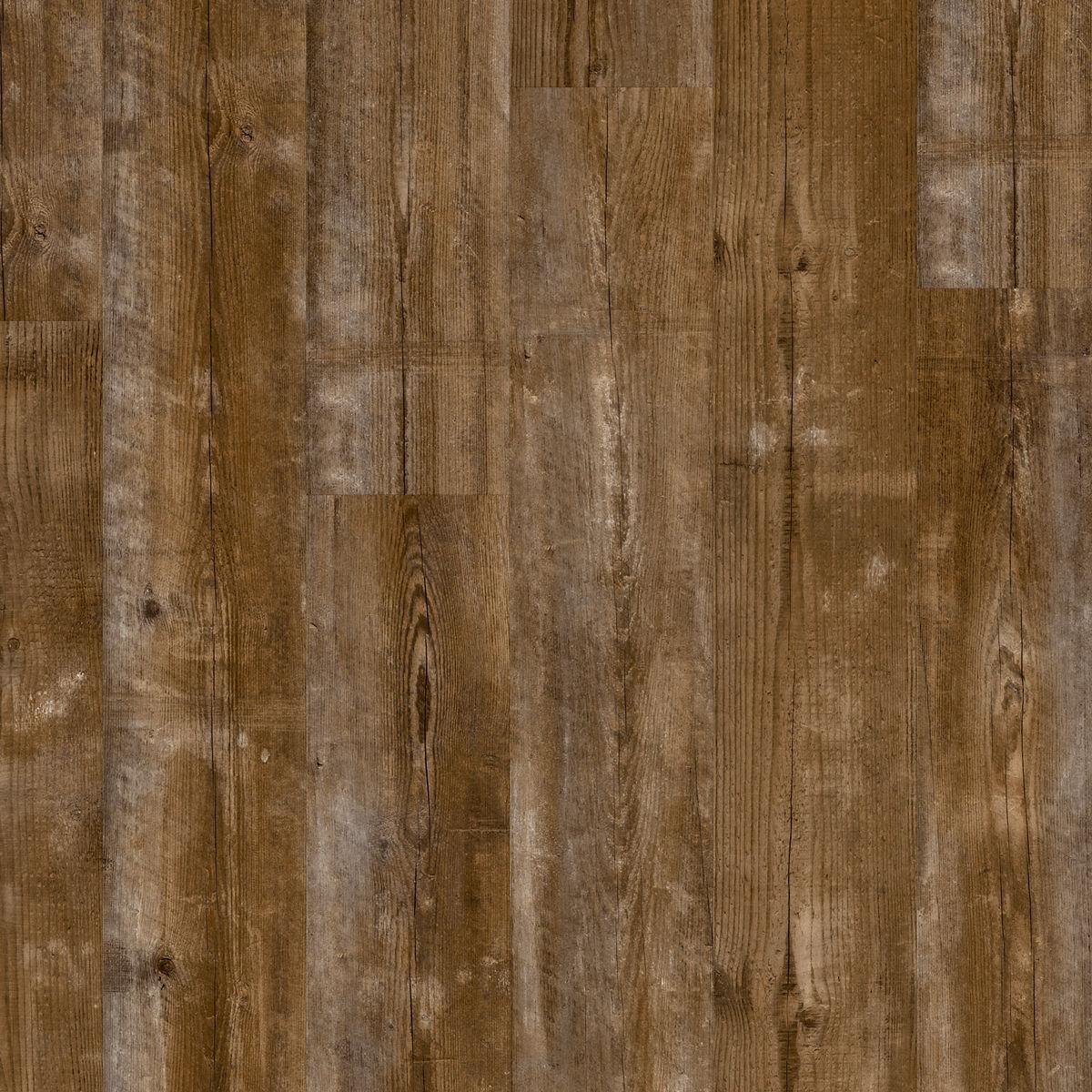 quickstep_resized_69e090b2a6bda2.99213876