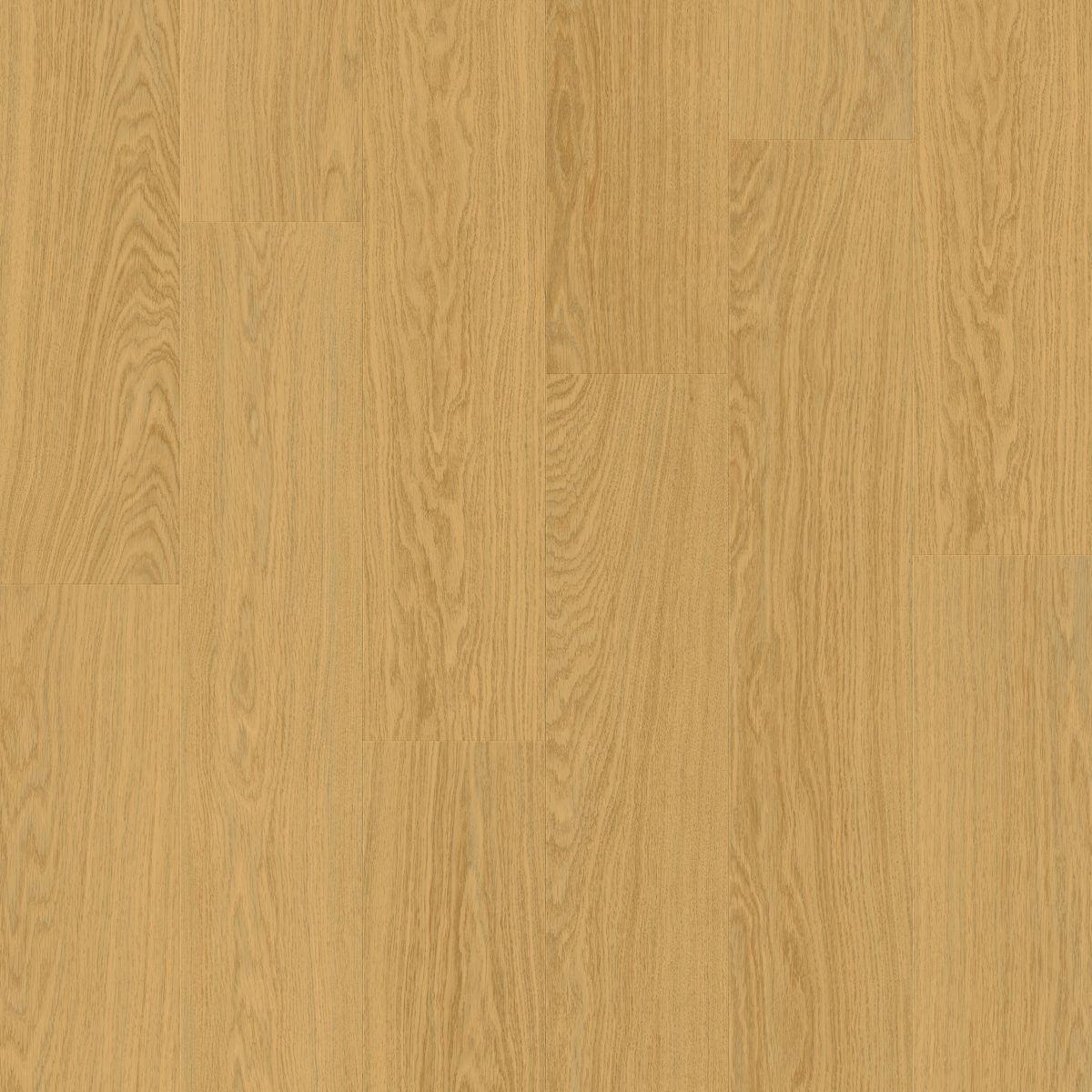 quickstep_resized_69e090b5731936.54983567
