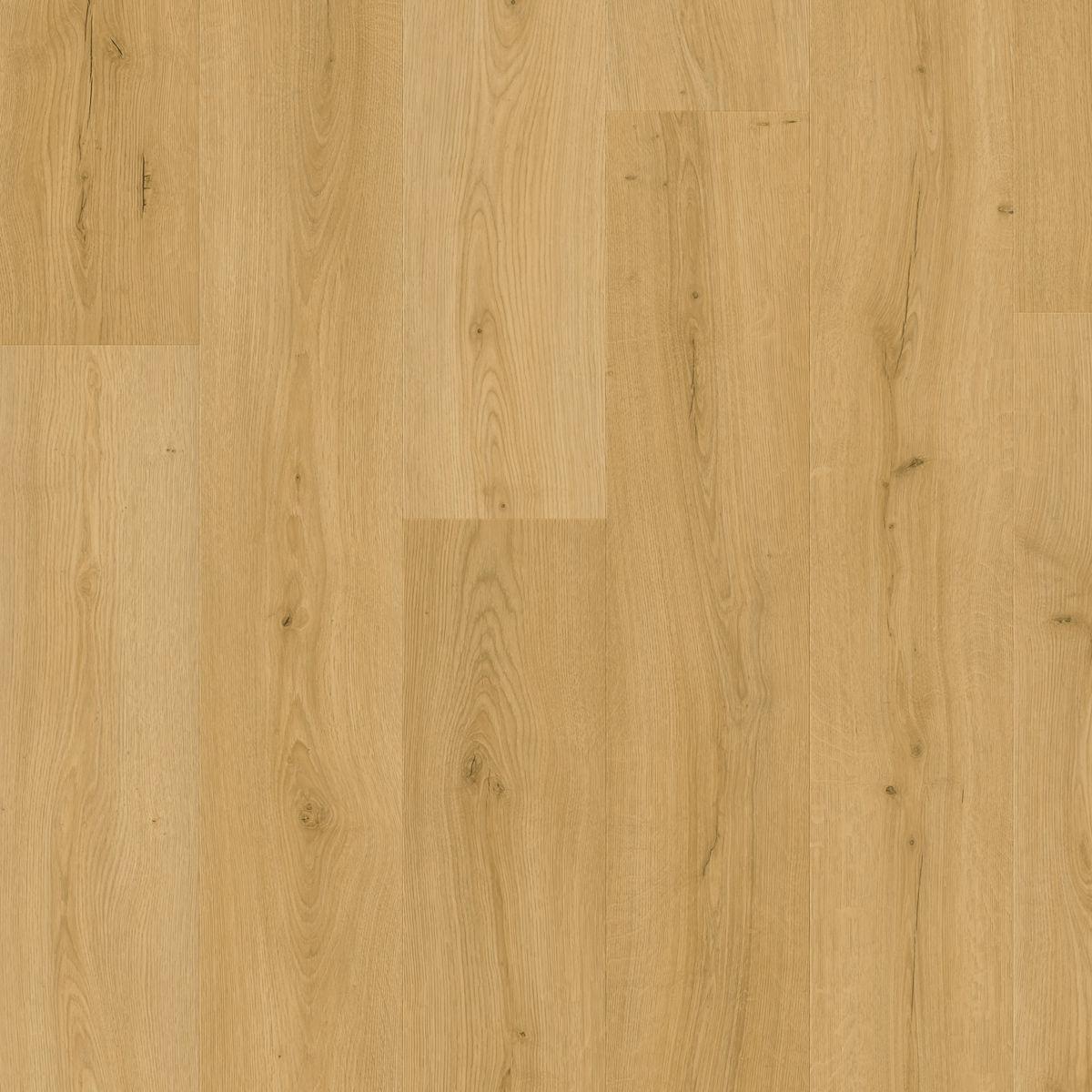 quickstep_resized_69e090c2595b12.72987367