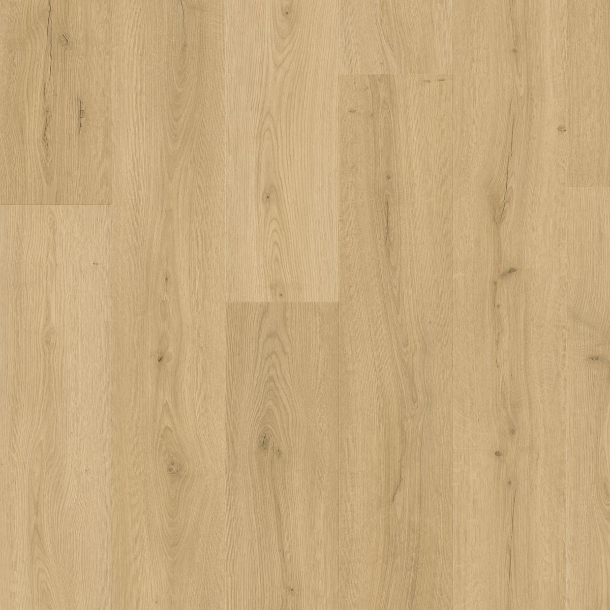 quickstep_resized_69e090c2bae216.11072568