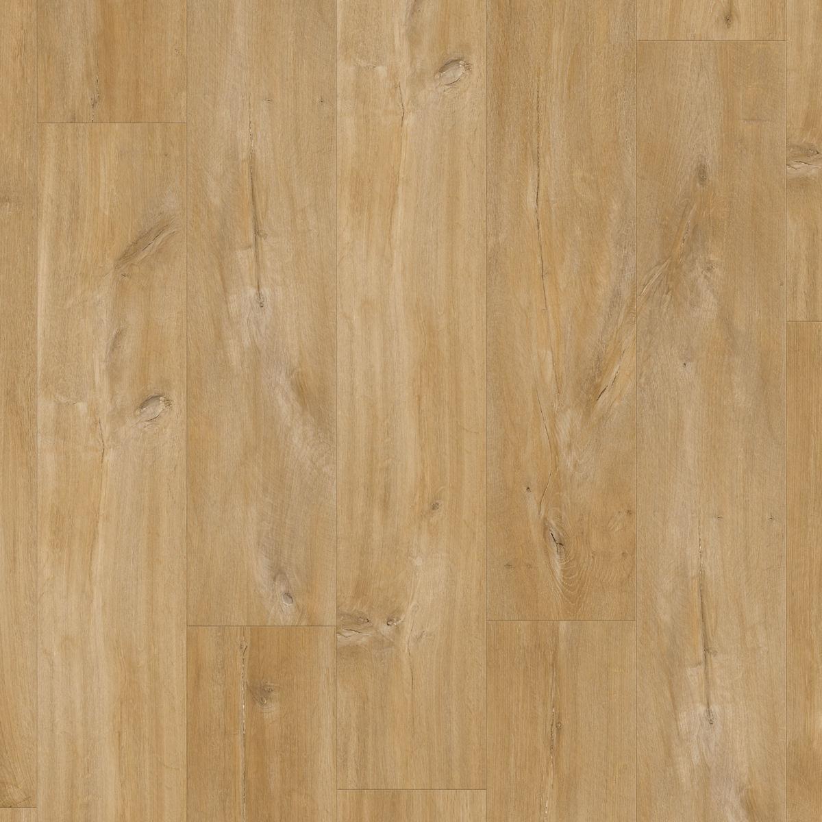 quickstep_resized_69e090d94ec9c5.44108742