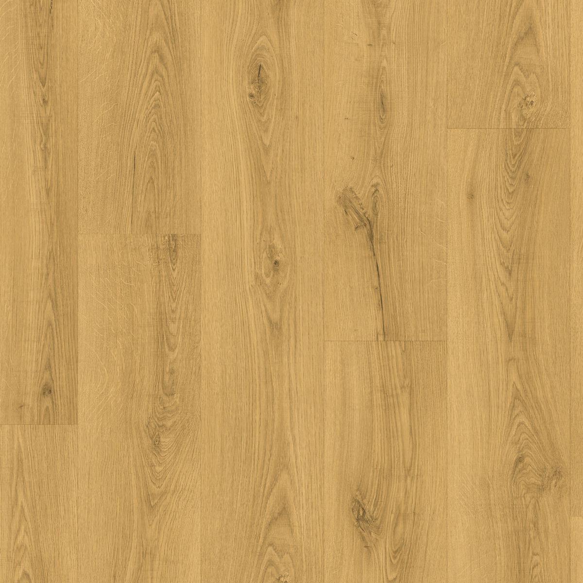 quickstep_resized_69e090ff2bd9a4.88271021