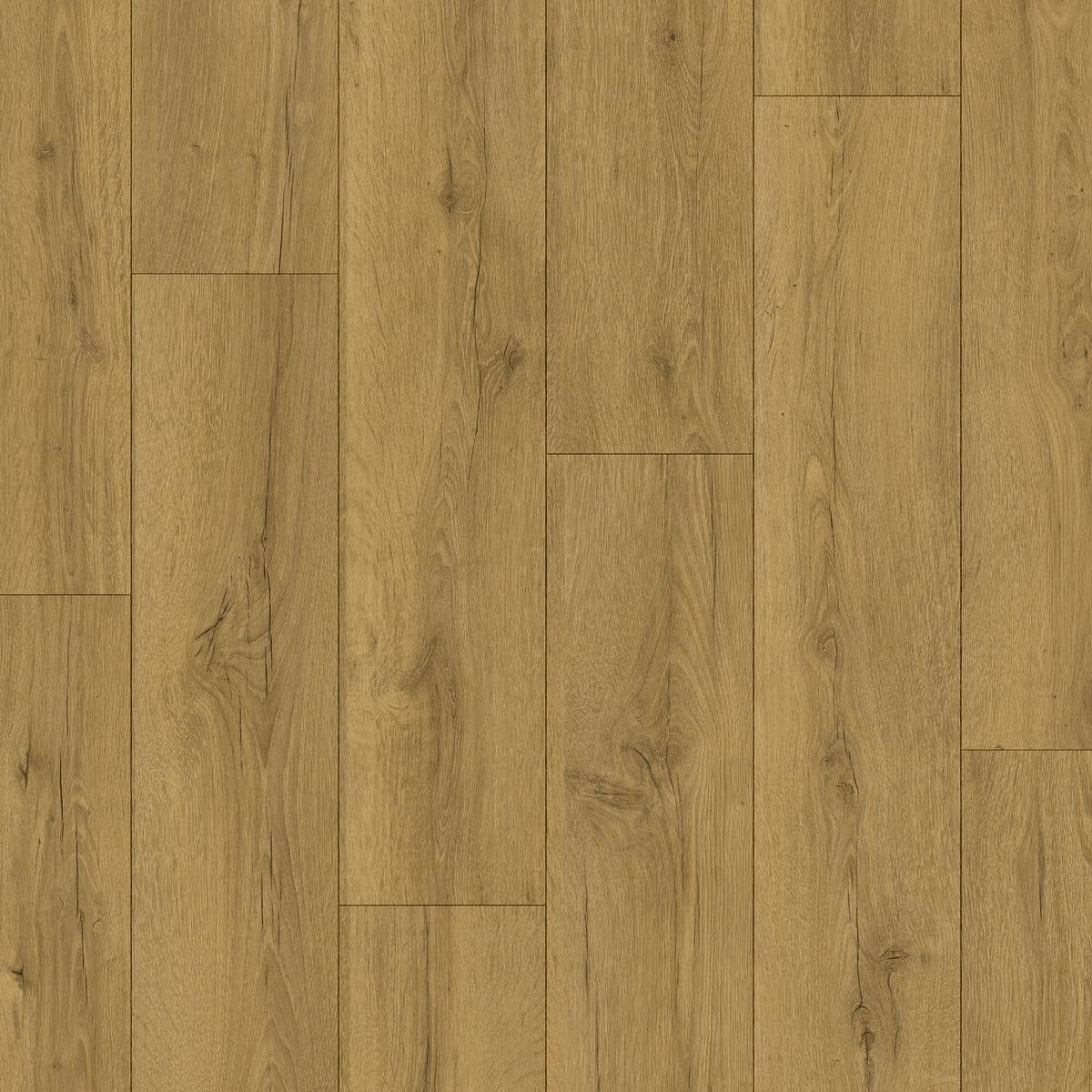 quickstep_resized_69e09101b91d43.79374251