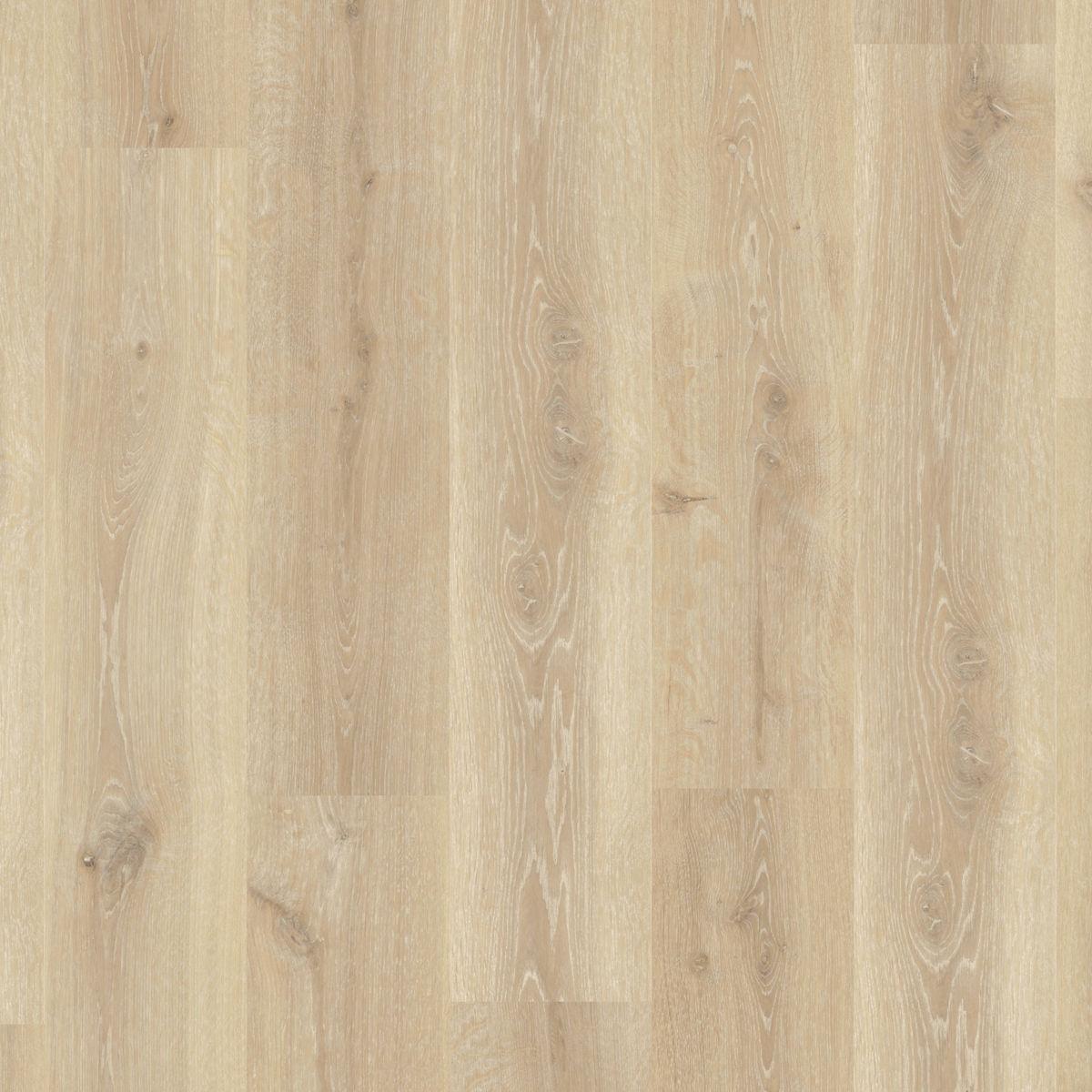 quickstep_resized_69e09107a25376.53510476