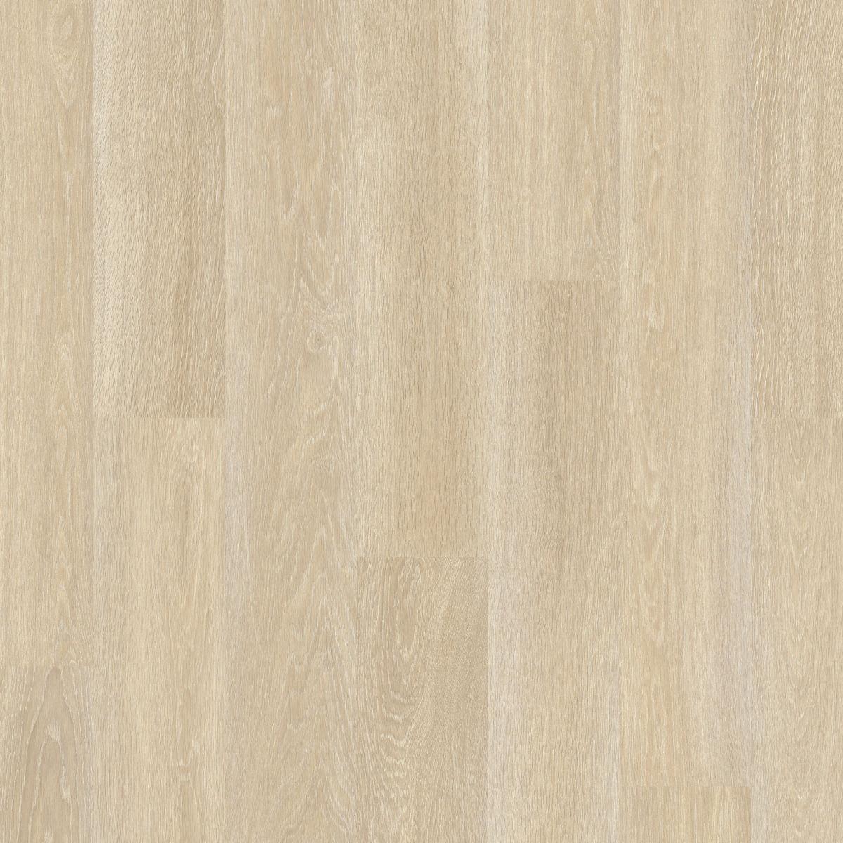 quickstep_resized_69e09112406978.90452722