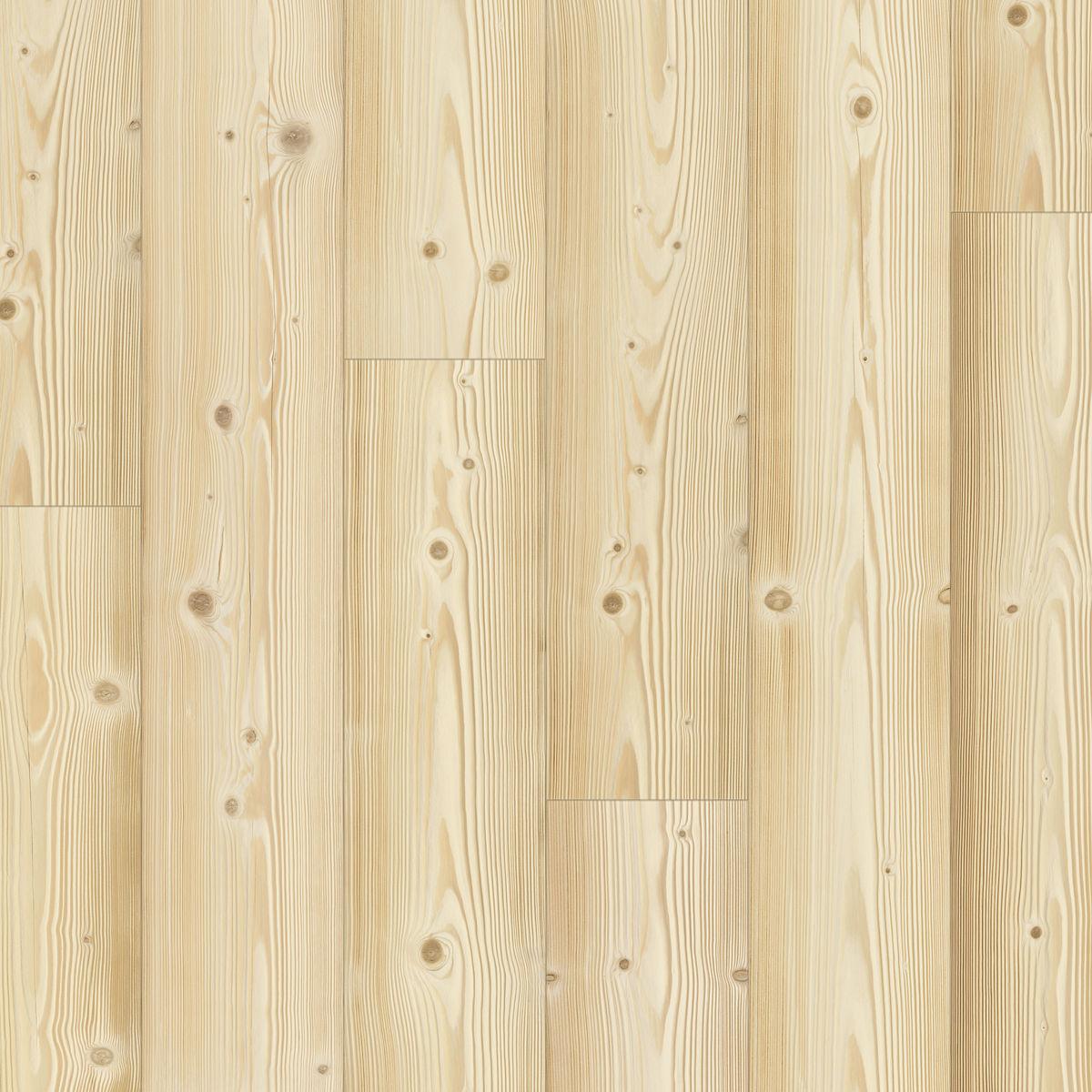 quickstep_resized_69e091261a2096.31255345