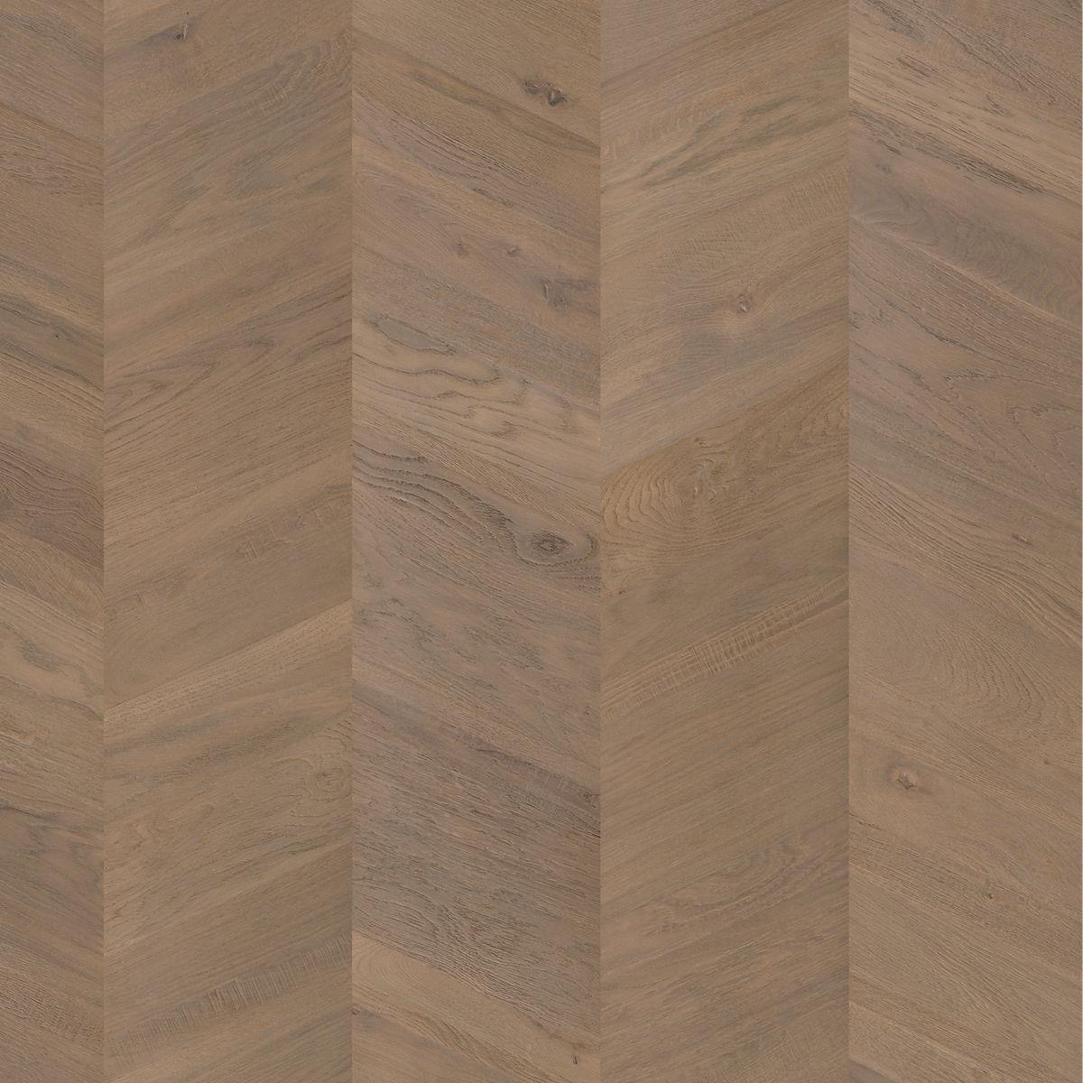 quickstep_resized_69e09143939437.29363791