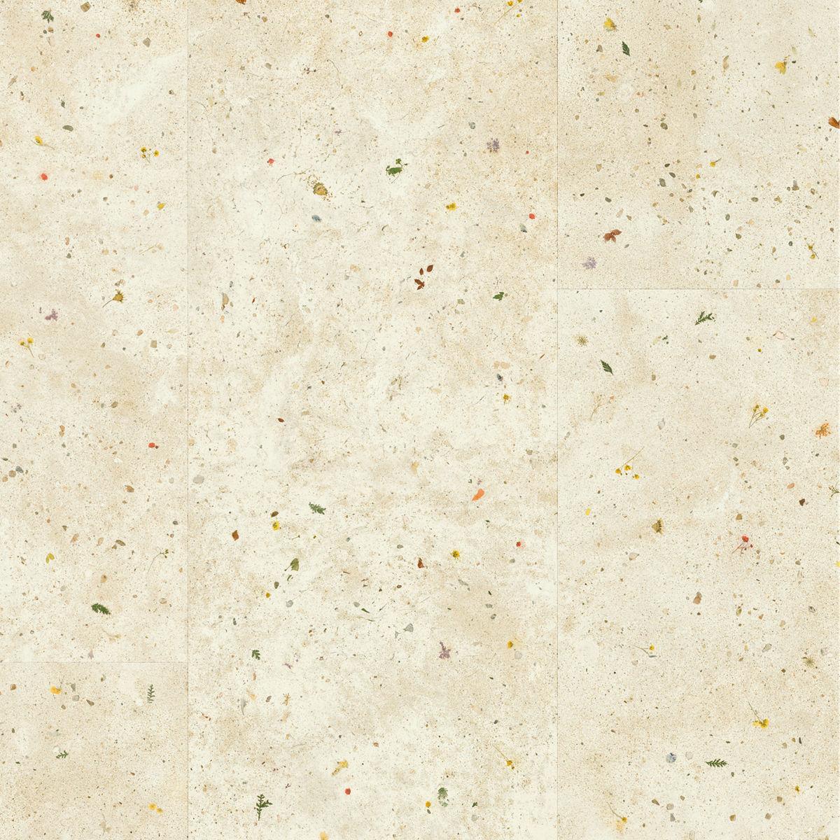 quickstep_resized_69e091563588a6.93646246