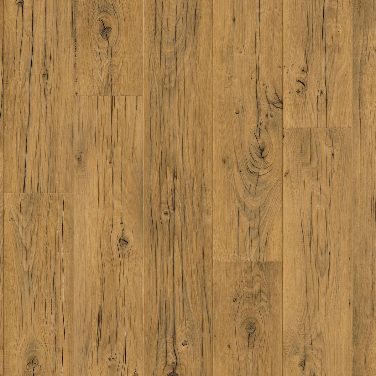 quickstep_resized_69e0916874fe82.91036555