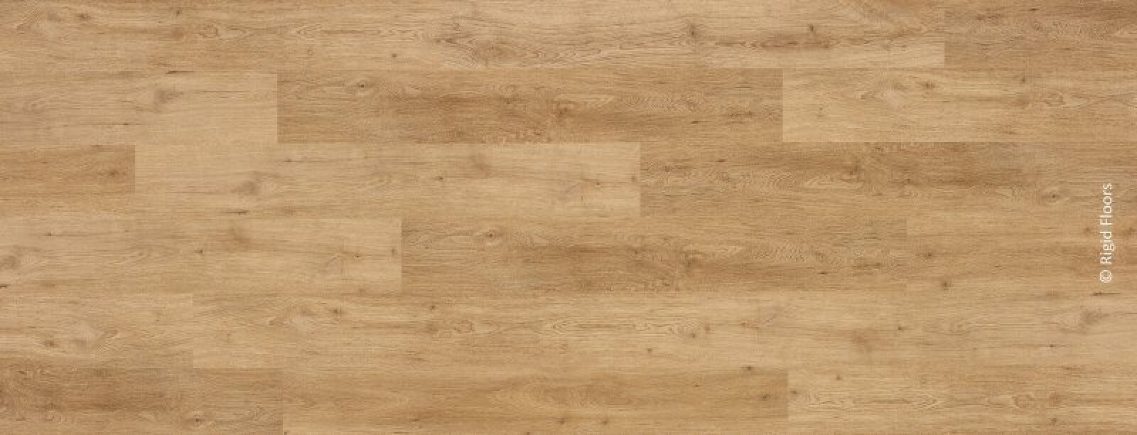 Dryback 2.5mm