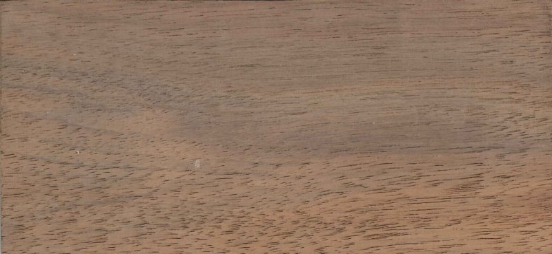 Amerikaanse Notelaar 52mm superprime