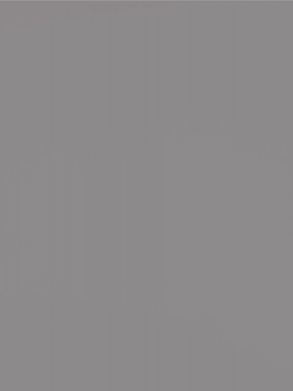 °Melamine 18 0UD26 Elephantgrey CST Basic 146236