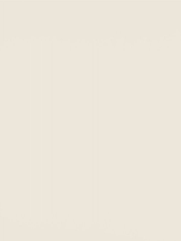 °Melamine 18 0U222 Ricepaper CST Basic 146168