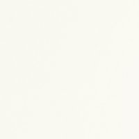 Melamine wit 22mm Front white TST Pearl - 025 Melamine wit 22mm Front white TST Pearl - 025