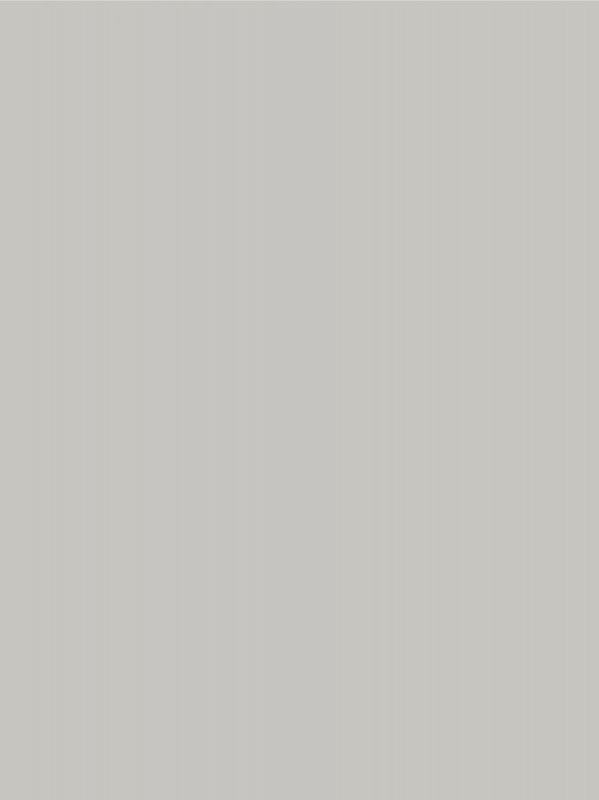 °Melamine 8 00625 Silicon CST Basic 146176