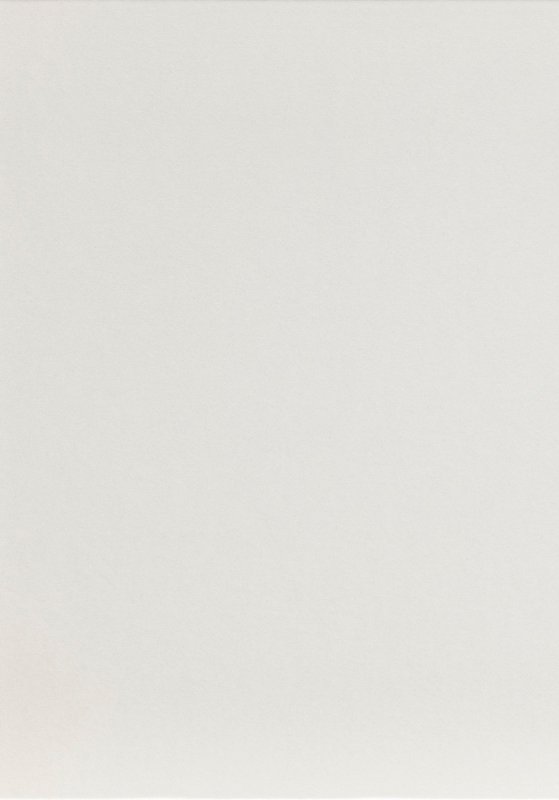 @first plafond paneel 8x210x1300 mm wit overschilderbaar