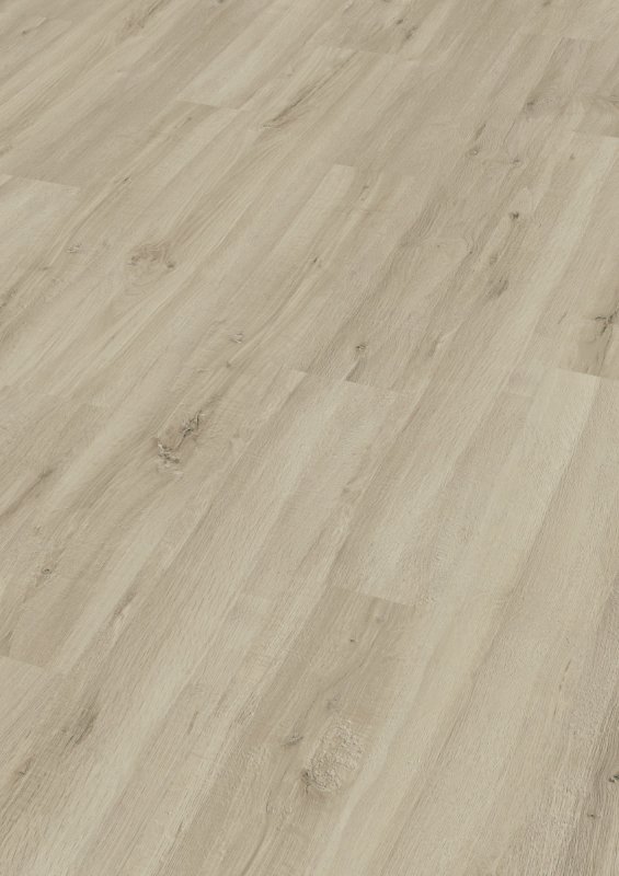 °M LC55 Eiche Pacific 6581 6581(op uitloop/ op= op