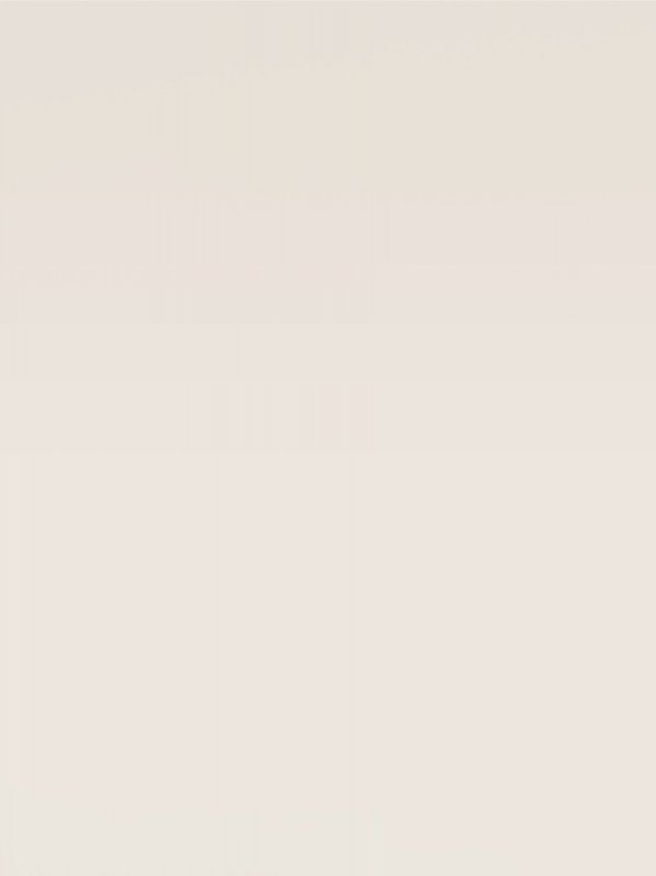 Meubelpaneel seashell 147 CST 250x40 cm Basic 70% PEFC certified