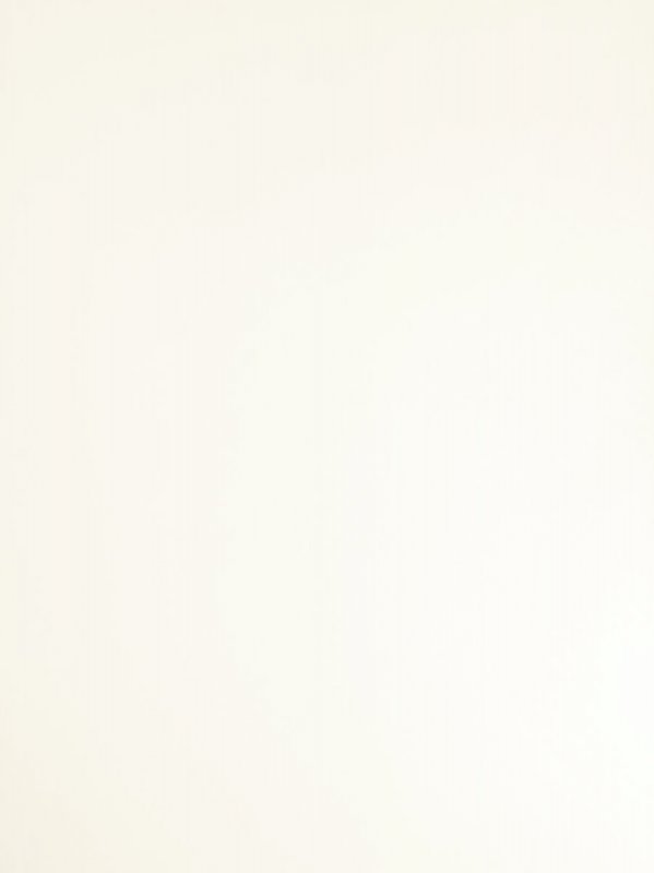 Meubelpaneel wit 025 TST 250x50 cm 0.4mm ABS 70% PEFC certified