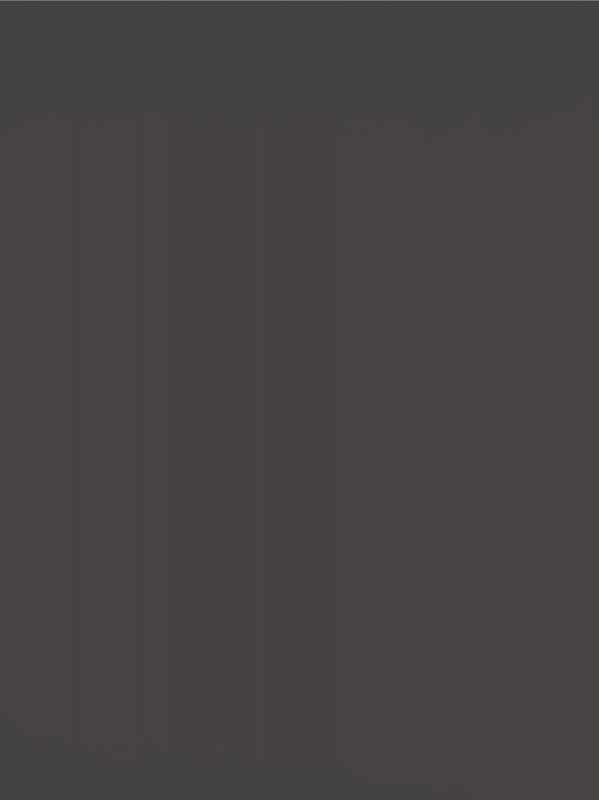 Meubelpaneel quartz ud 81 CST 250x60 cm Basic 70% PEFC certified