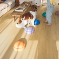 Quickstep LVT Bloom Geborstelde eik honing Natural 6mm