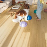 Quickstep LVT Bloom Geborstelde eik honing Natural 6mm
