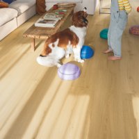 Quickstep  LVT Bloom Geborstelde eik honing Natural 6mm